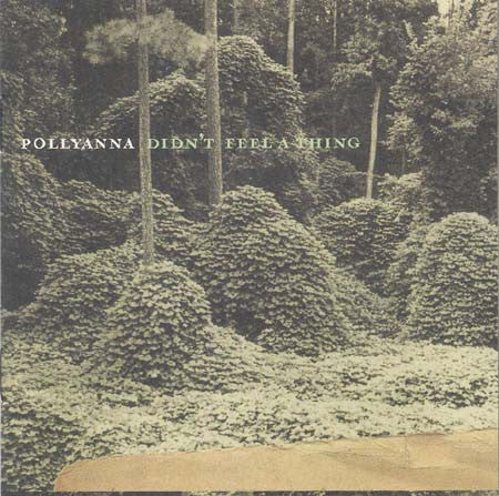 Pollyanna - Didn't Feel A Thing [CD] [Second Hand]