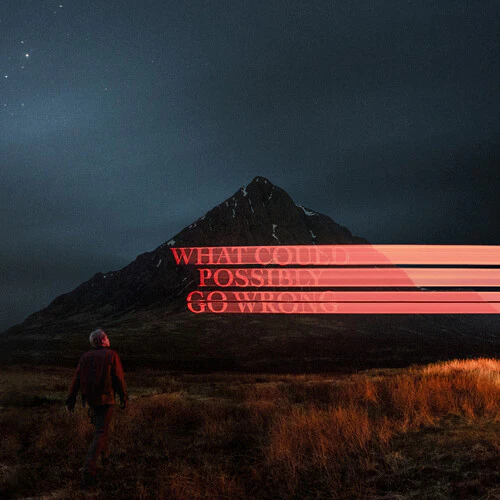 Fike, Dominic - What Could Possibly Go Wrong [CD]