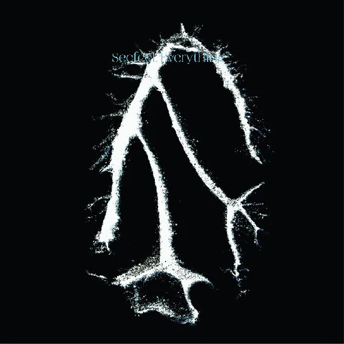 Seefeel - Everything Squared [CD]
