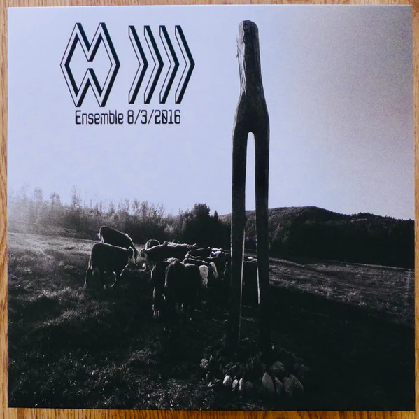 Band Whose Name Is A Symbol - Ensemble 8/3/2016 [Vinyl]