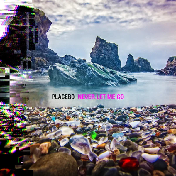 Placebo - Never Let Me Go [Vinyl]