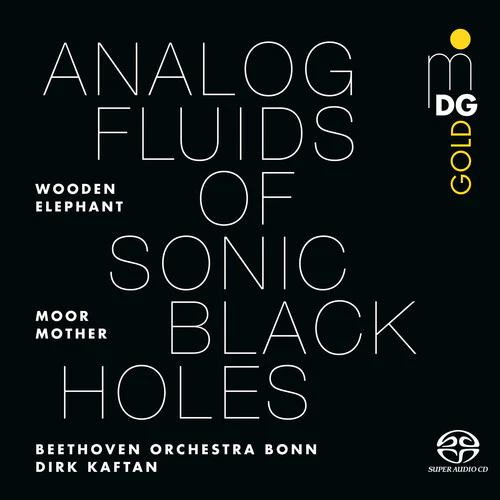 Moor Mother / Wooden Elephant / Dirk Kaf - Analog Fluids Of Sonic Black Holes [Vinyl]